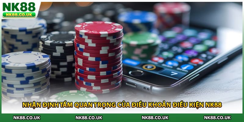 Nhận định tầm quan trọng của điều khoản điều kiện NK88