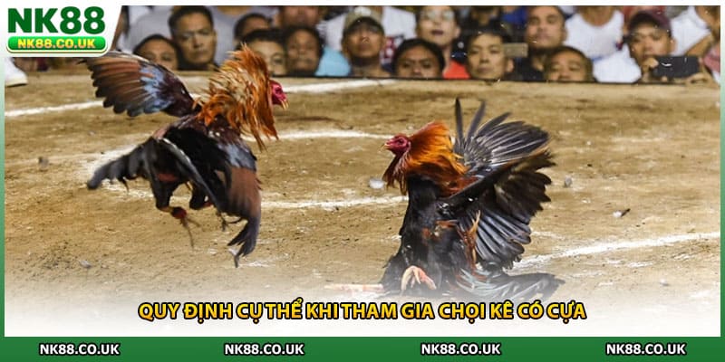 Quy định cụ thể khi tham gia chọi kê có cựa