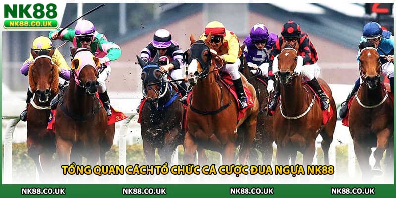 Tổng quan cách tổ chức cá cược đua ngựa NK88